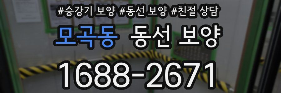 모곡동 동선 보양