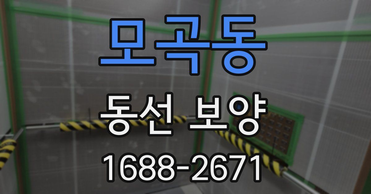 모곡동 동선 보양