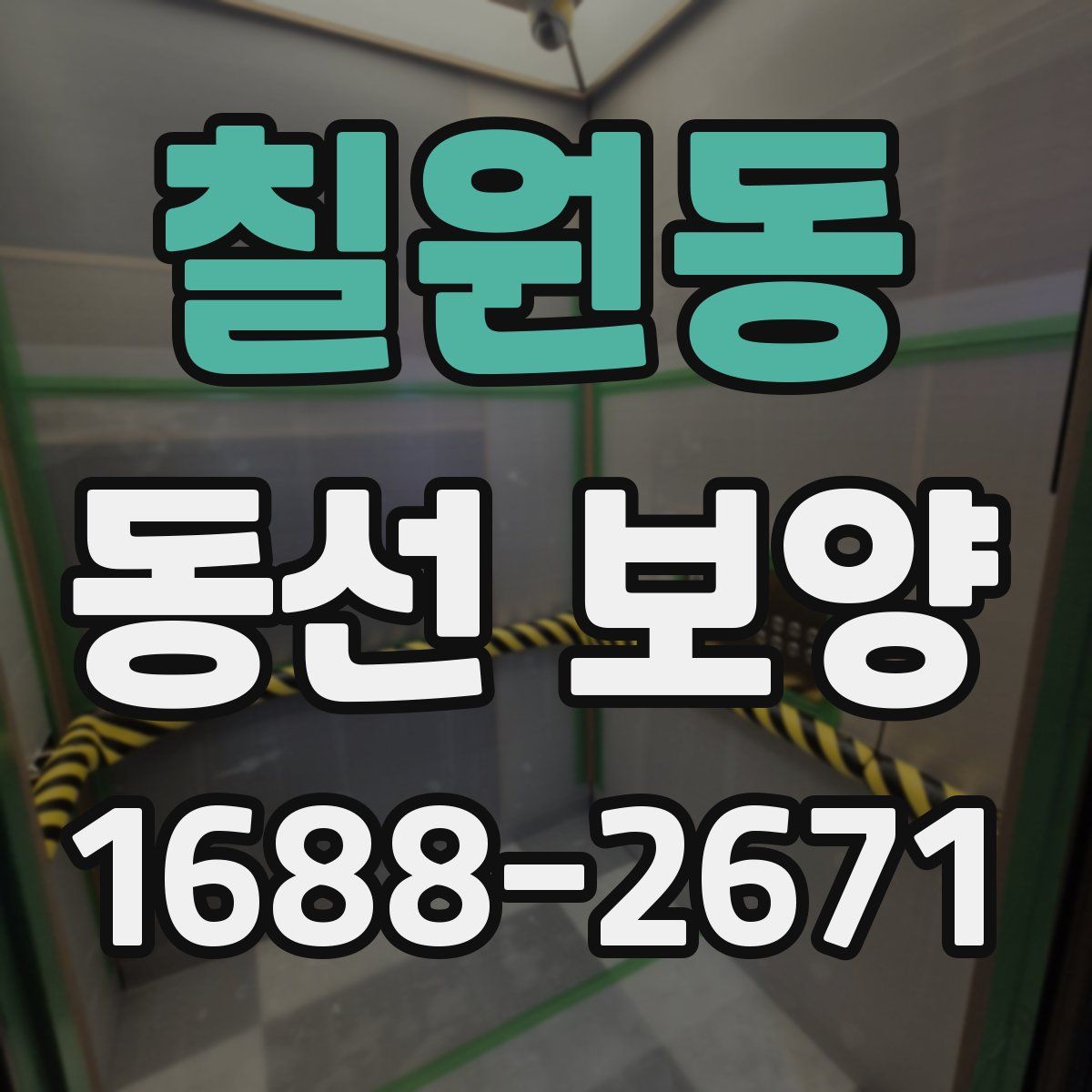 칠원동 동선 보양