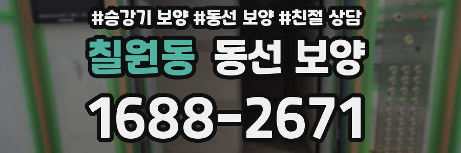 칠원동 동선 보양