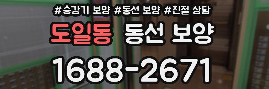 도일동 동선 보양