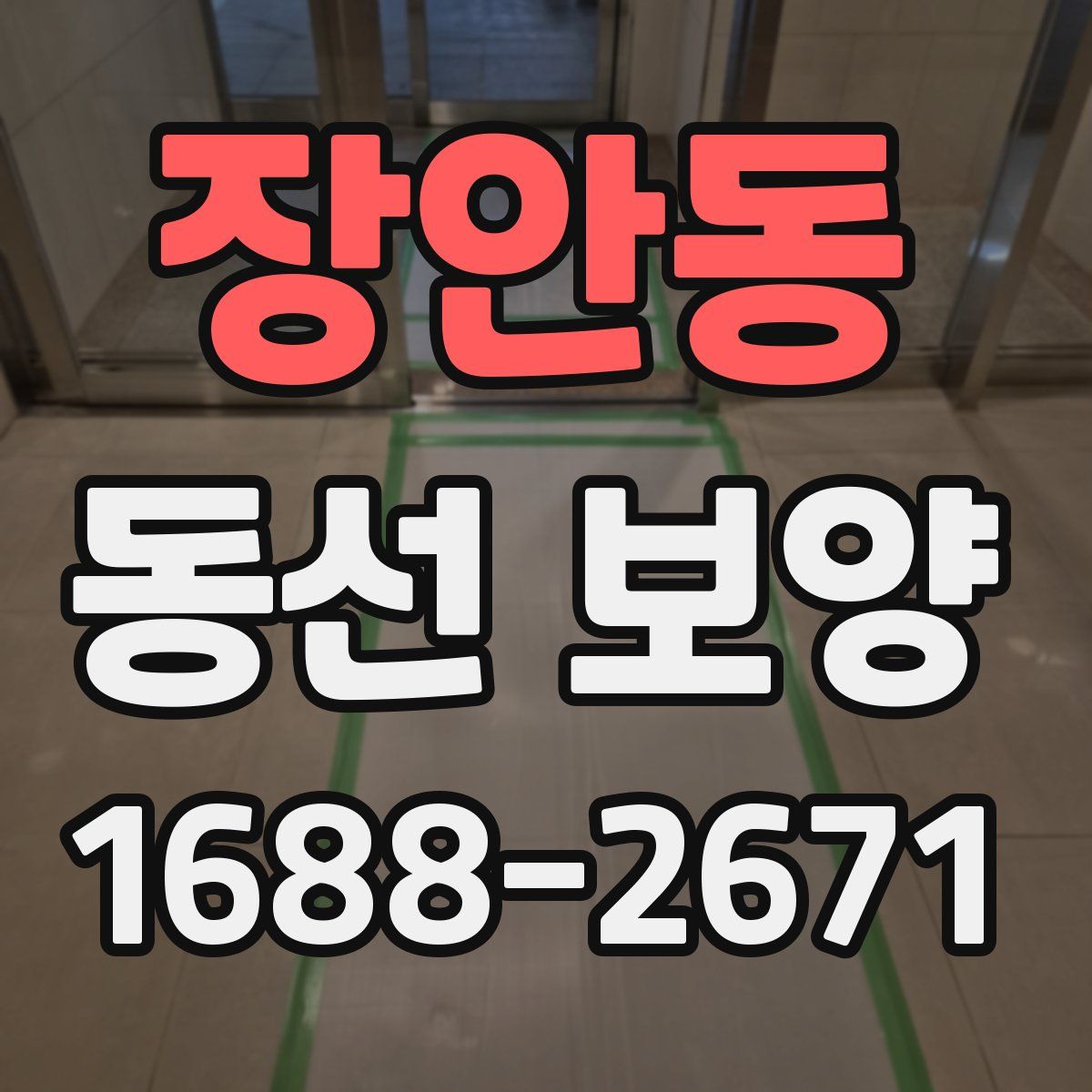 장안동 동선 보양