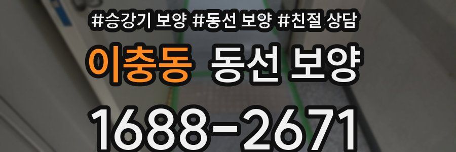 이충동 동선 보양