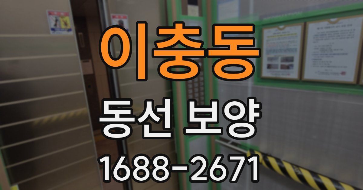 이충동 동선 보양