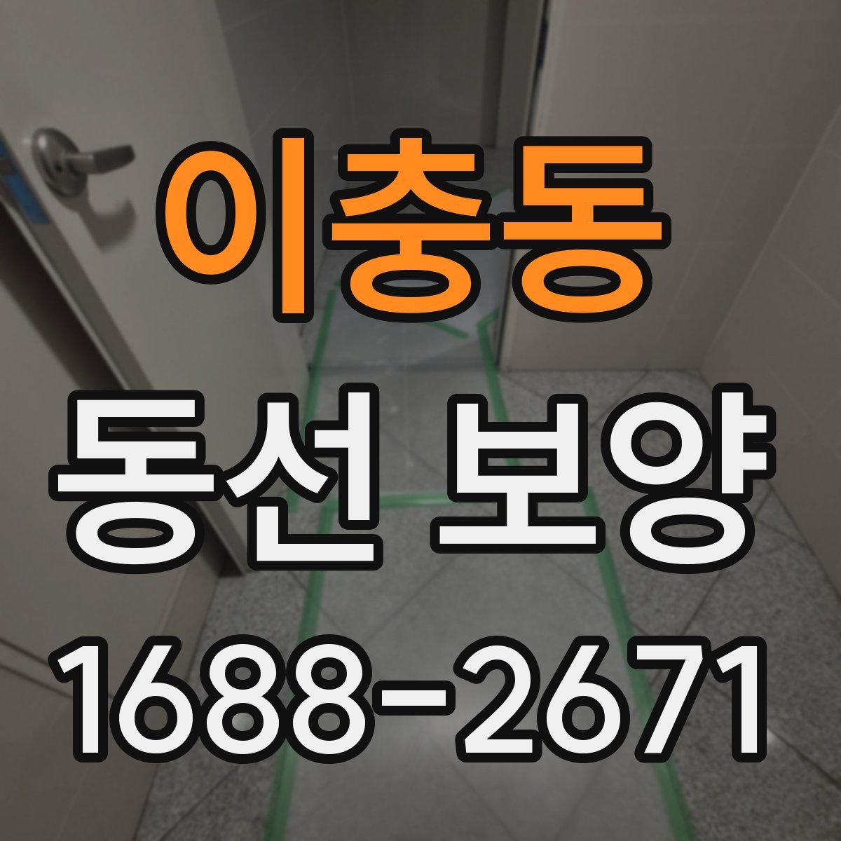 이충동 동선 보양