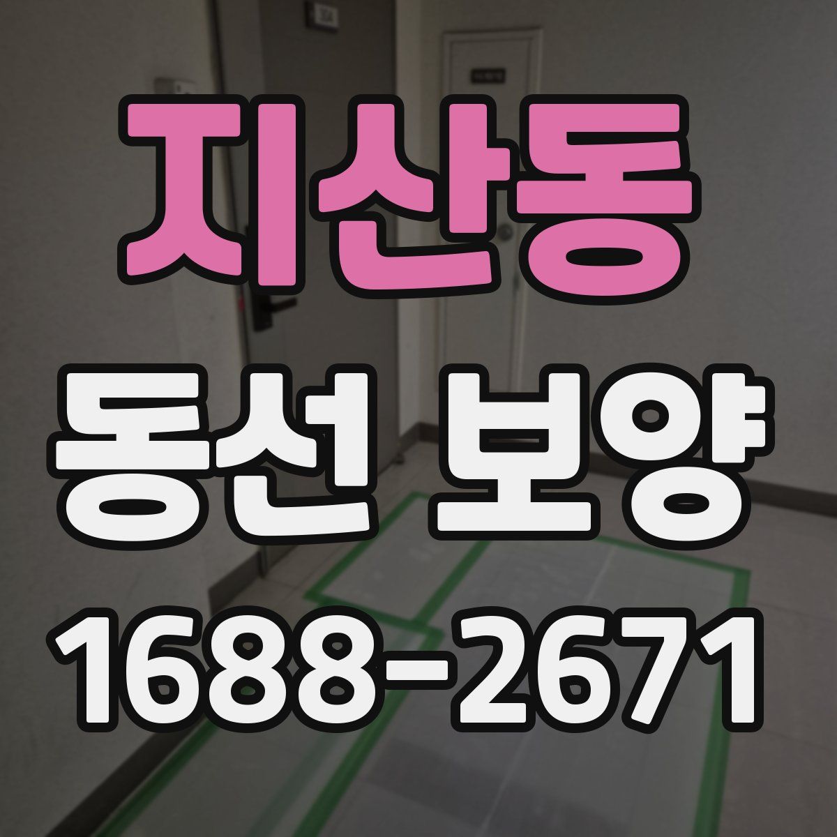 지산동 동선 보양