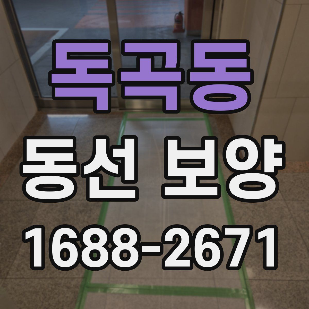 독곡동 동선 보양
