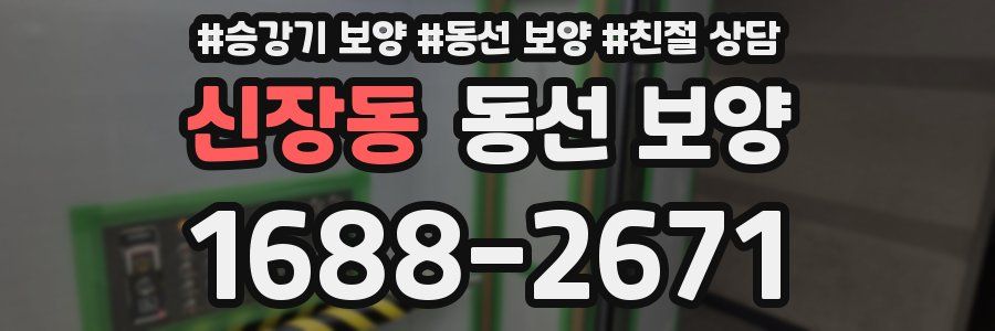 신장동 동선 보양