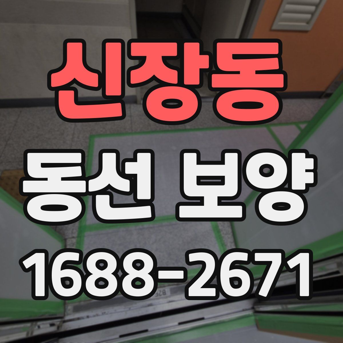 신장동 동선 보양