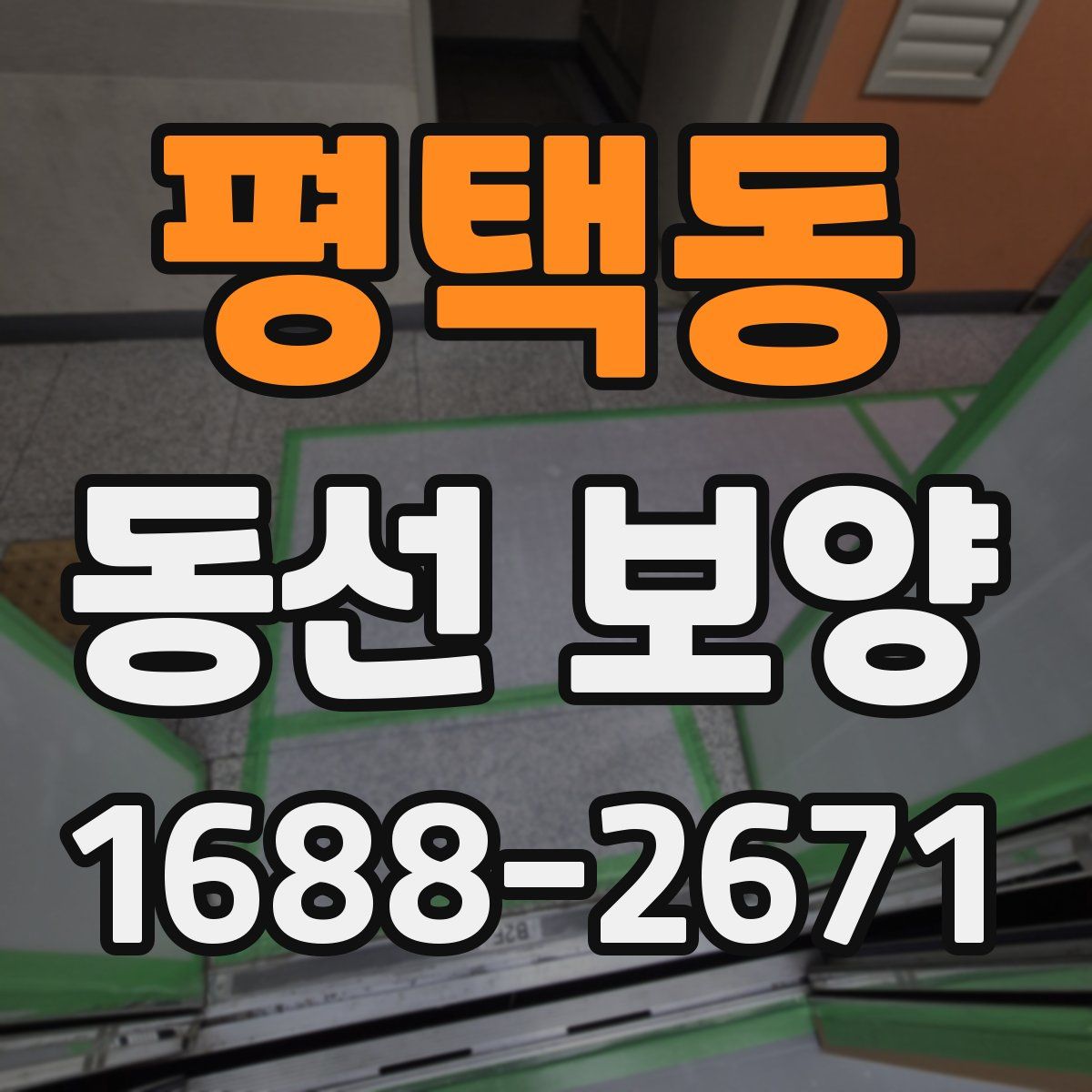 평택동 동선 보양