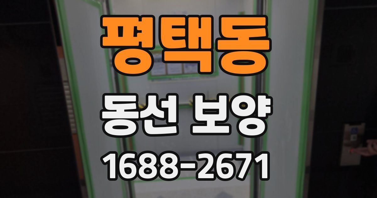 평택동 동선 보양