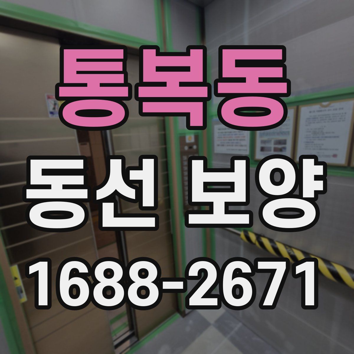 통복동 동선 보양