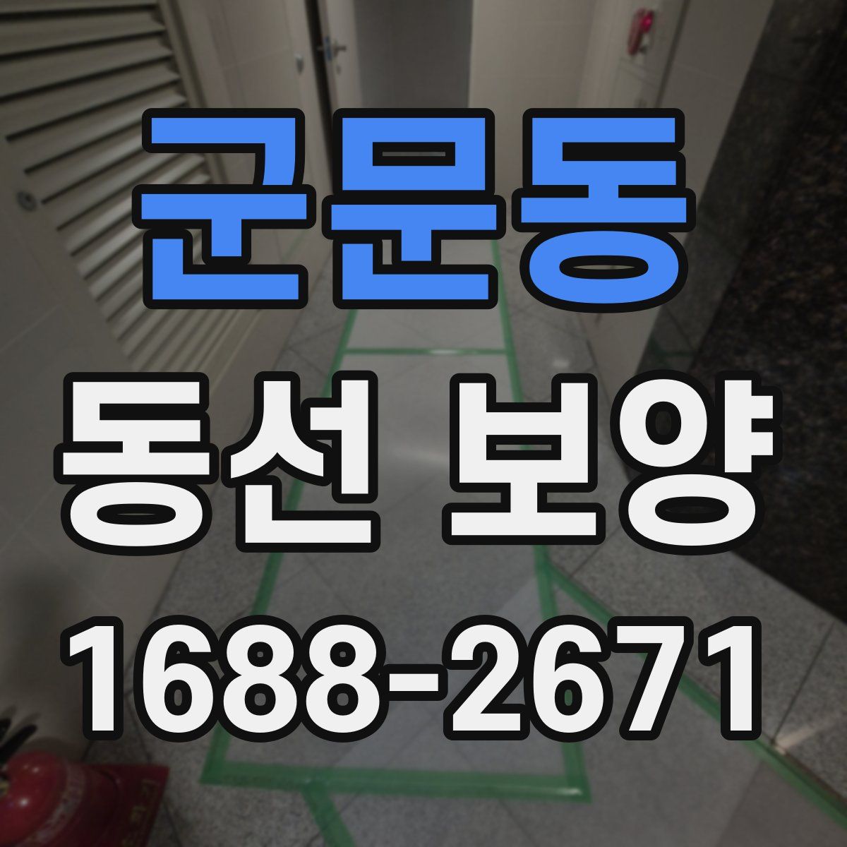 군문동 동선 보양