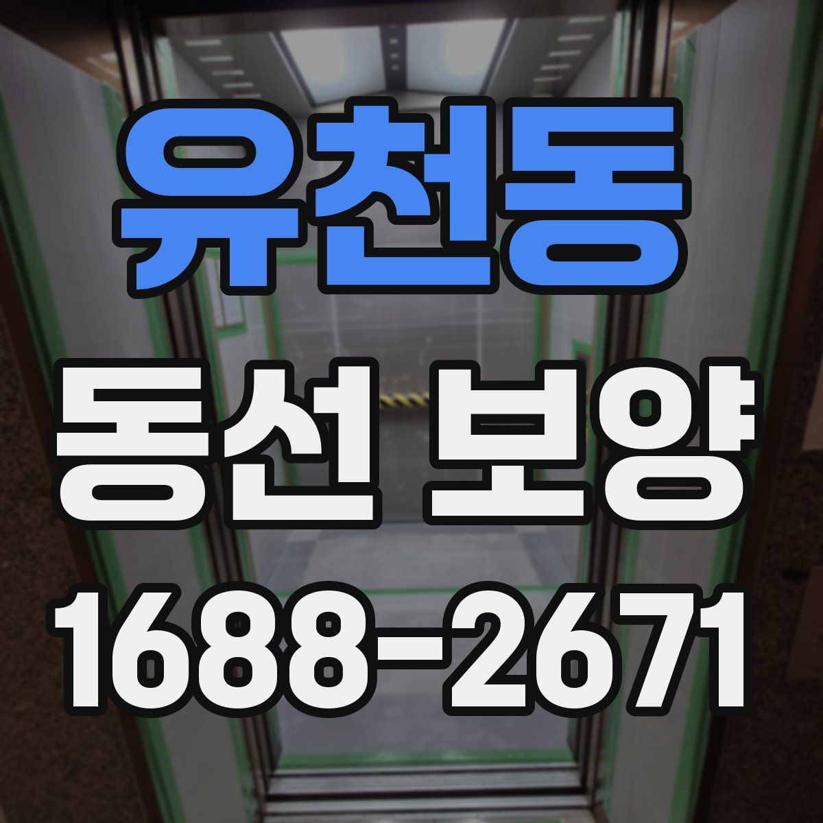 유천동 동선 보양 업체 상담 전에 알아두면 좋은 점