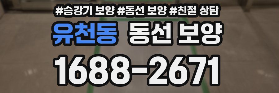유천동 동선 보양