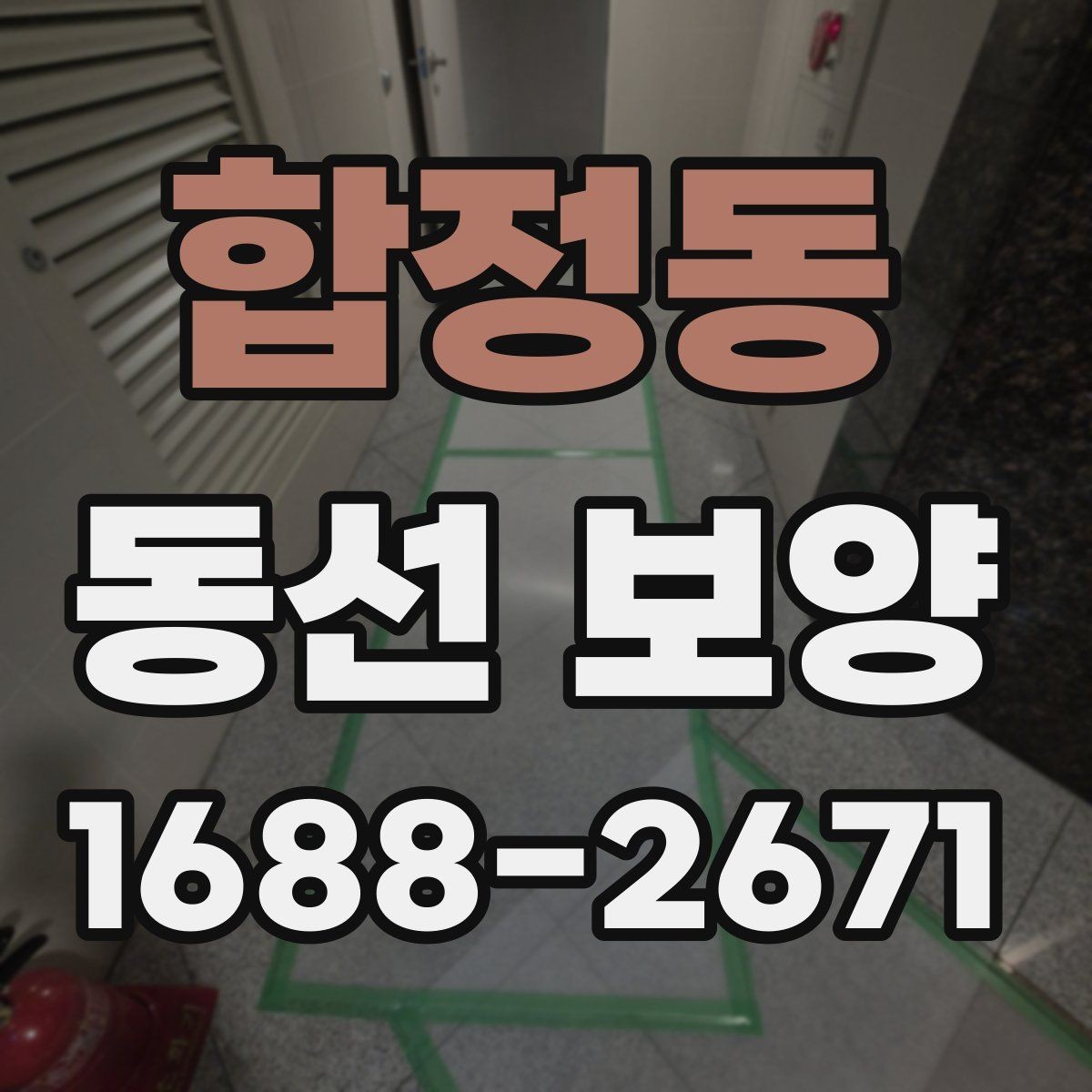 합정동 동선 보양 비용은 어떤 요소로 달라질까