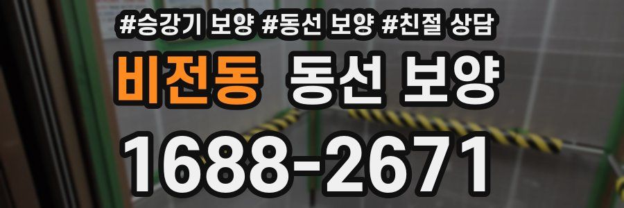 비전동 동선 보양