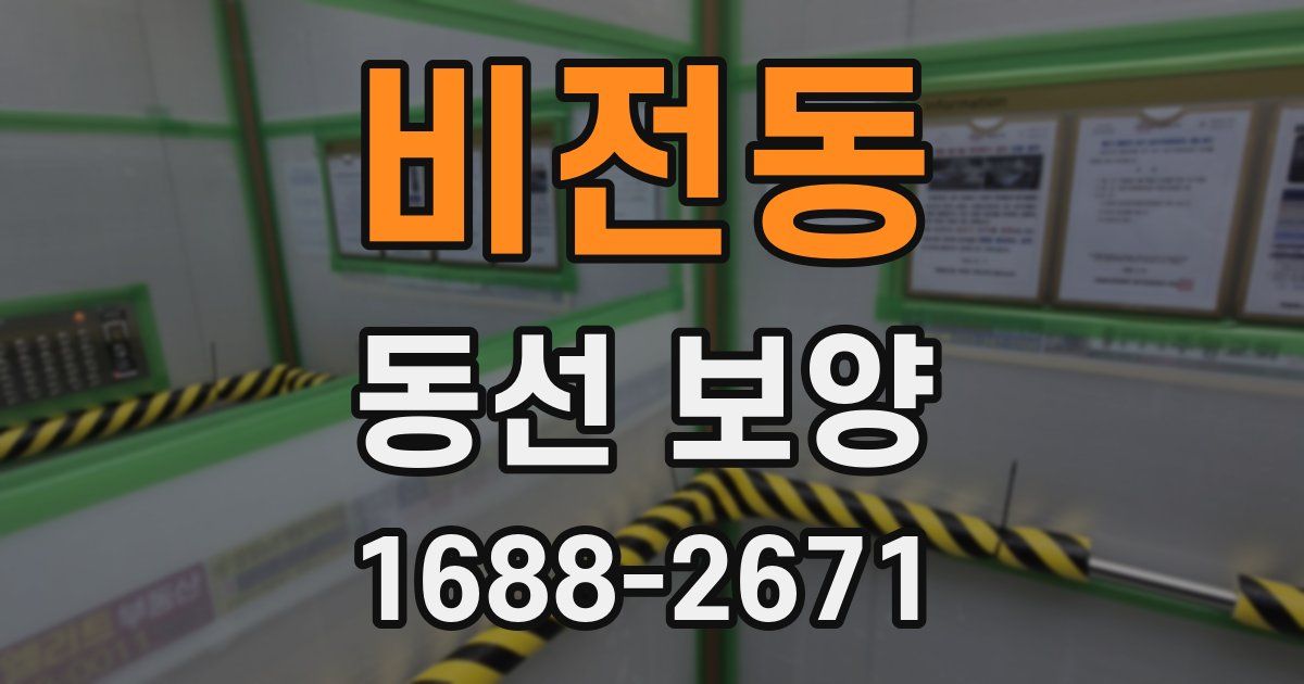 비전동 동선 보양