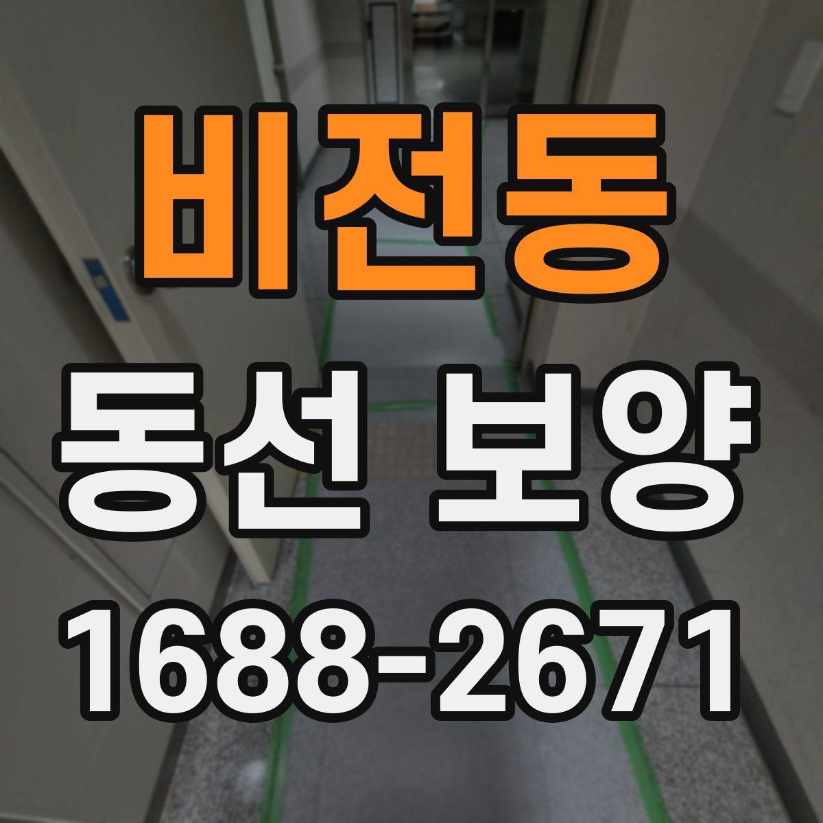 비전동 동선 보양