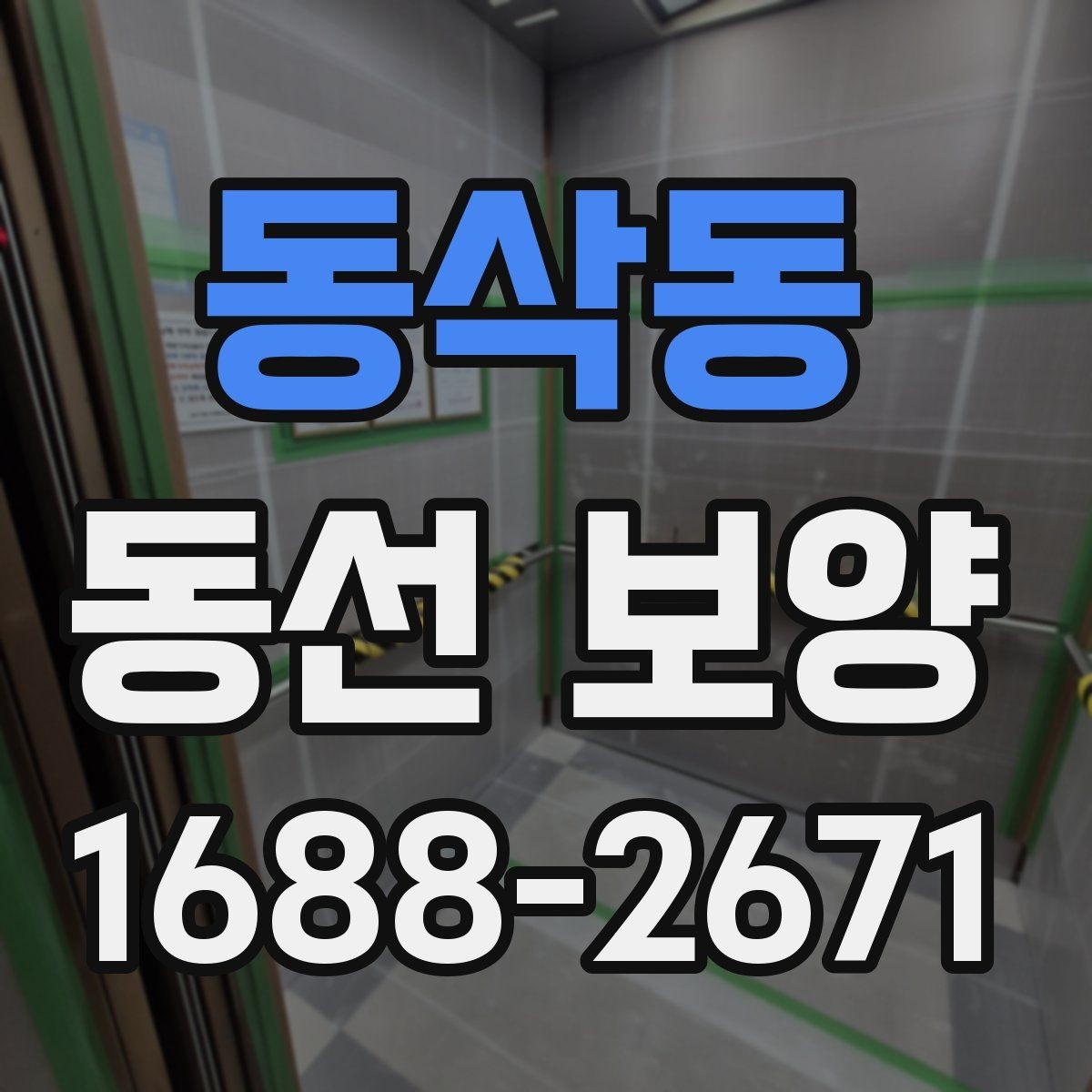 동삭동 동선 보양 자재별 특징과 활용 방법