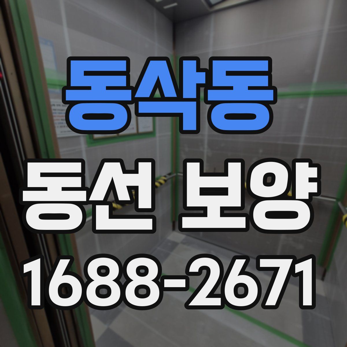 동삭동 동선 보양