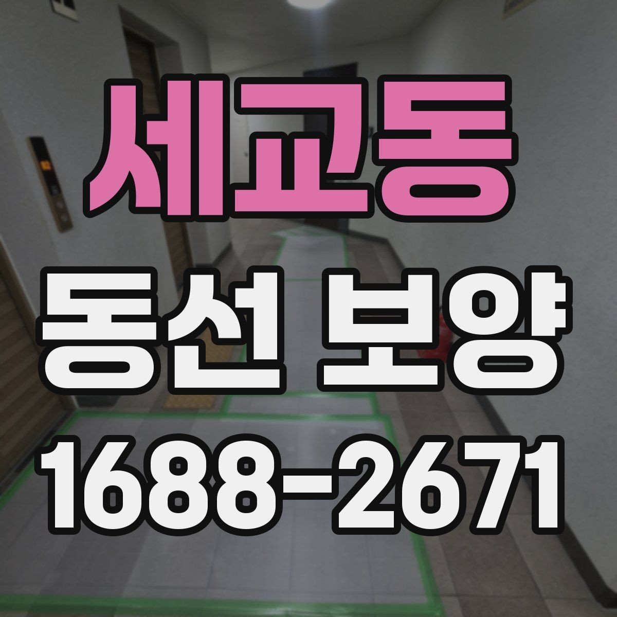 세교동 동선 보양 적용 시기와 적절한 타이밍