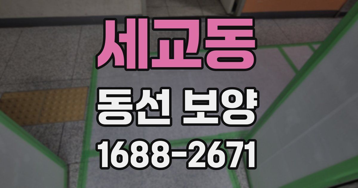 세교동 동선 보양