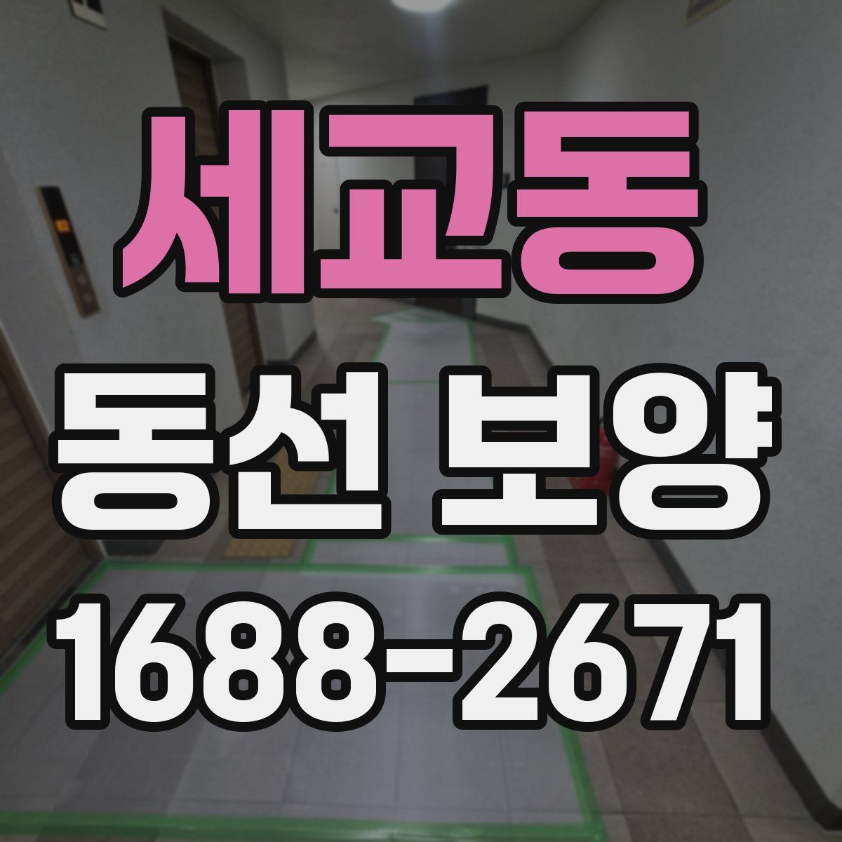 세교동 동선 보양