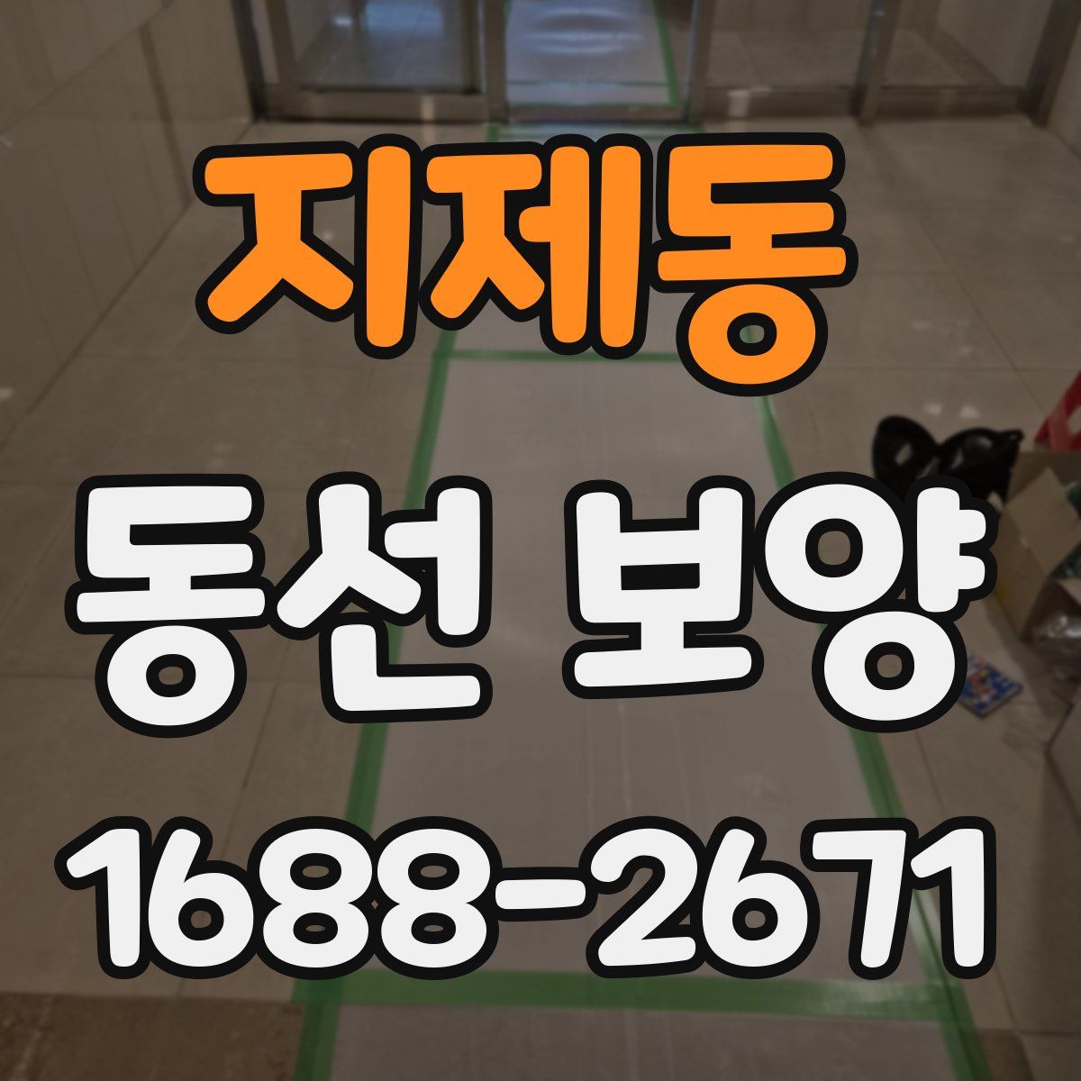 지제동 동선 보양
