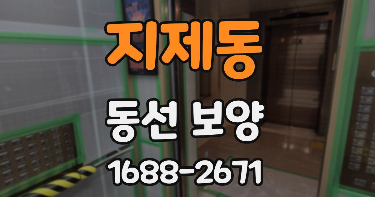 지제동 동선 보양