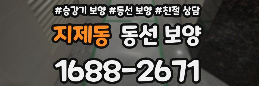 지제동 동선 보양