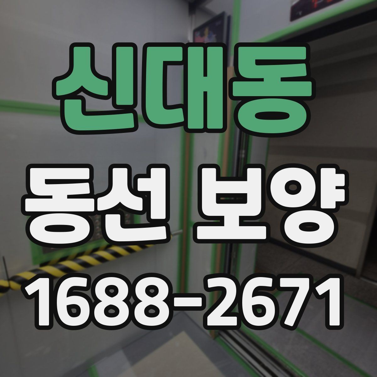 신대동 동선 보양 작업에서 흔히 발생하는 문제