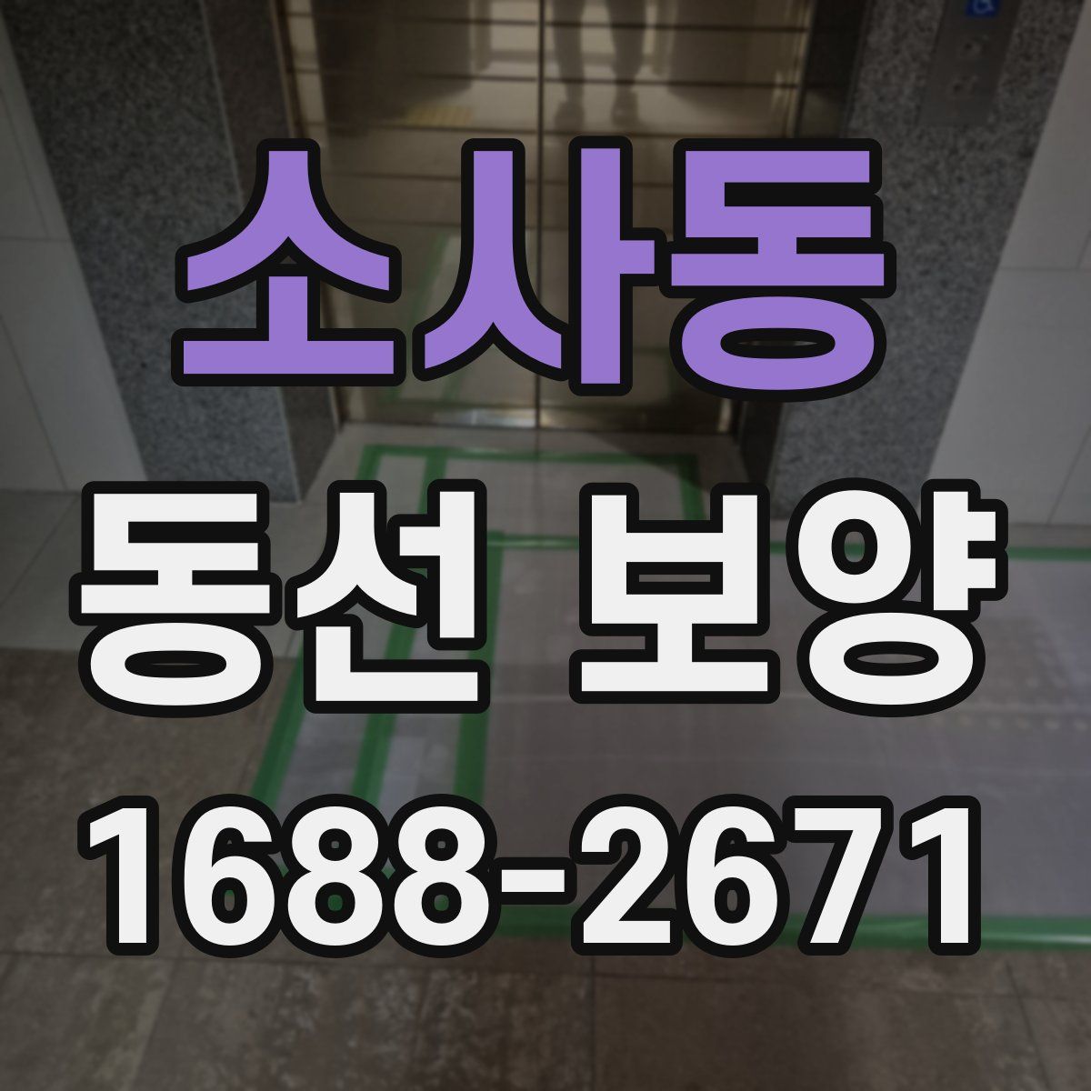 소사동 동선 보양