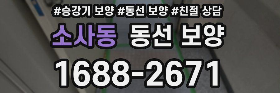 소사동 동선 보양