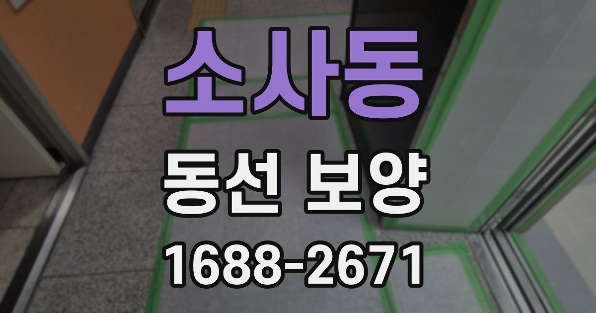 소사동 동선 보양