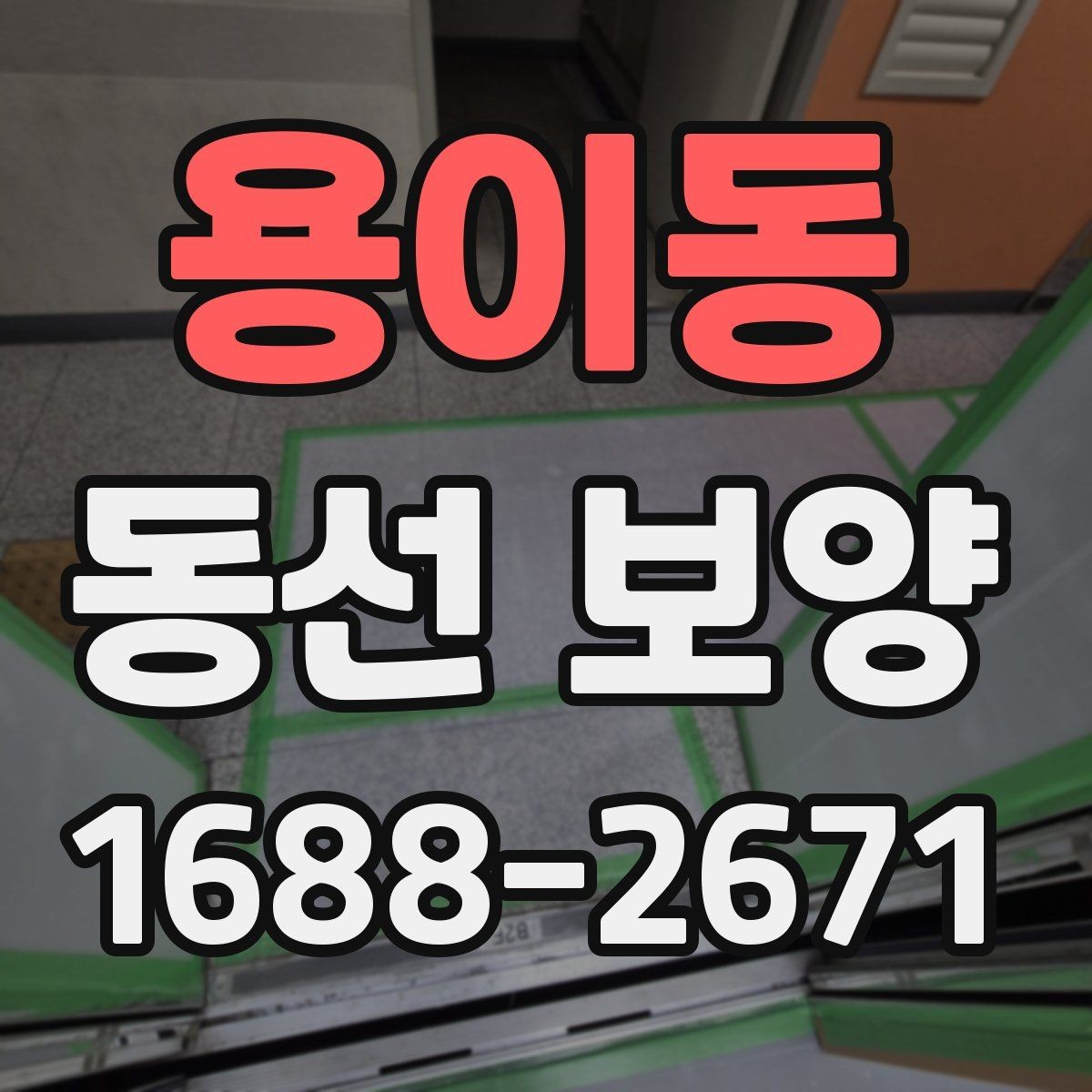 용이동 동선 보양 전후 차이를 알기 쉽게 정리