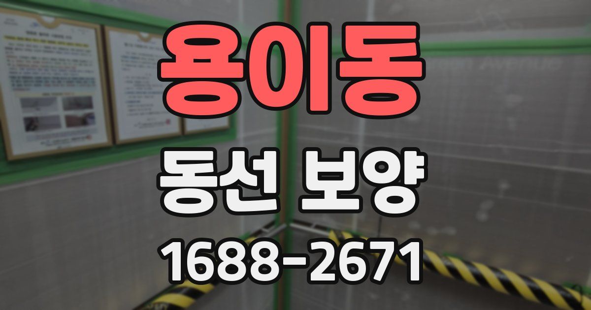 용이동 동선 보양