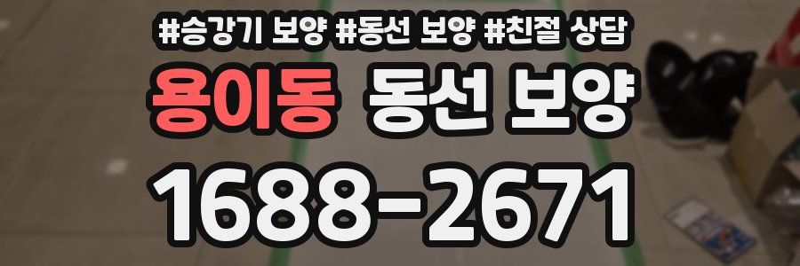 용이동 동선 보양