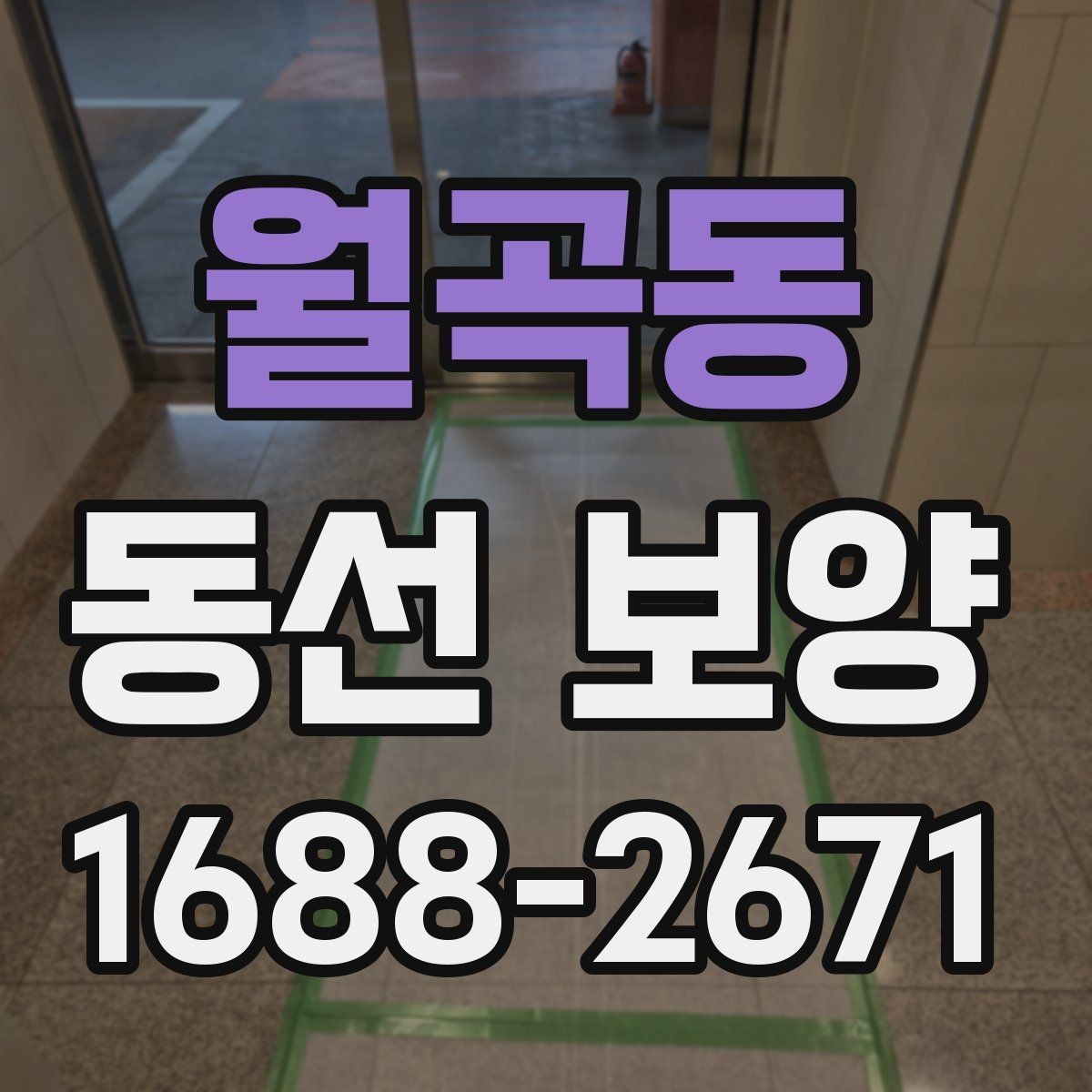 월곡동 동선 보양 현장 적용 사례와 작업 노하우