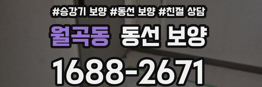 월곡동 동선 보양