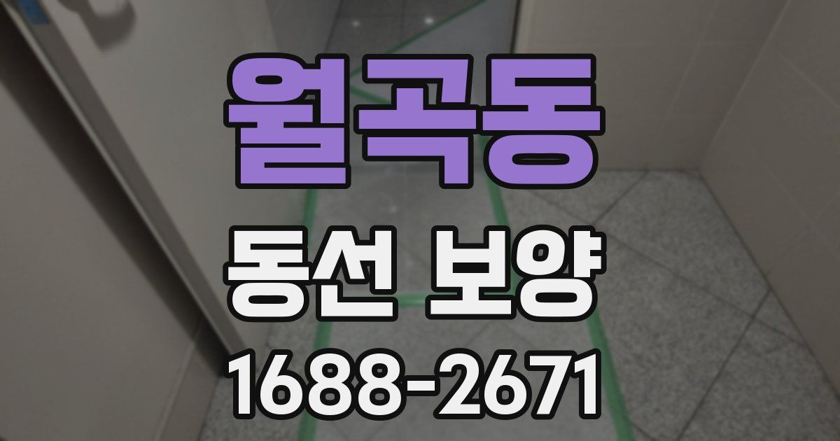 월곡동 동선 보양