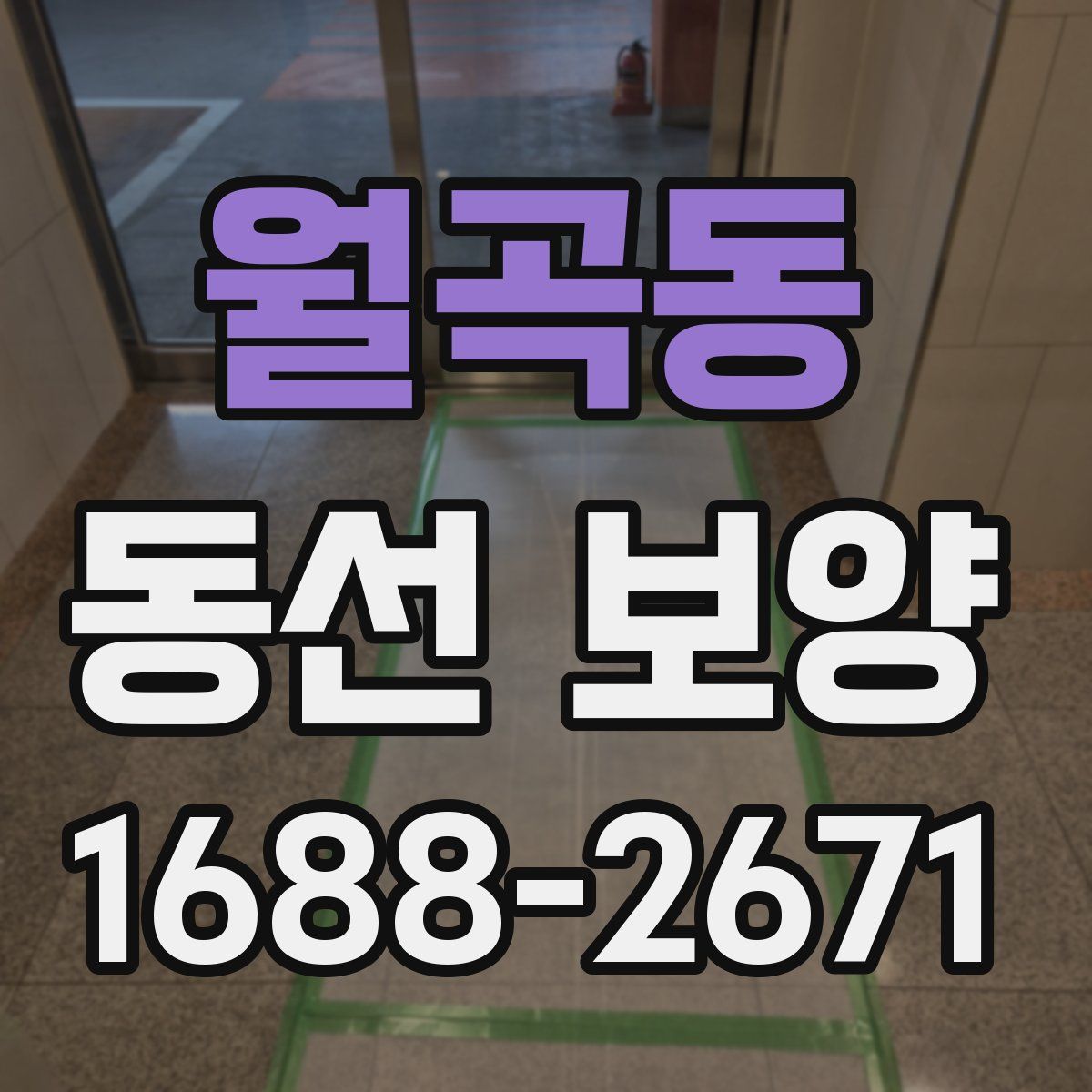 월곡동 동선 보양