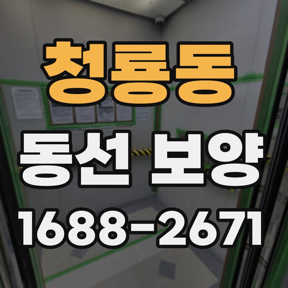 청룡동 동선 보양