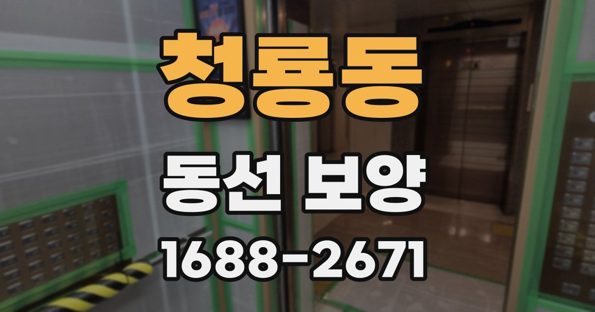 청룡동 동선 보양