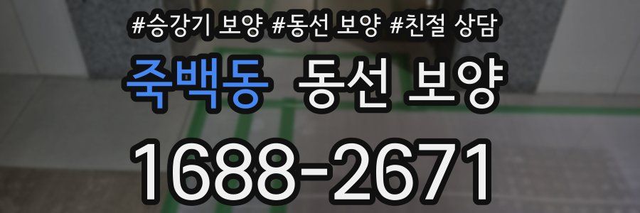 죽백동 동선 보양
