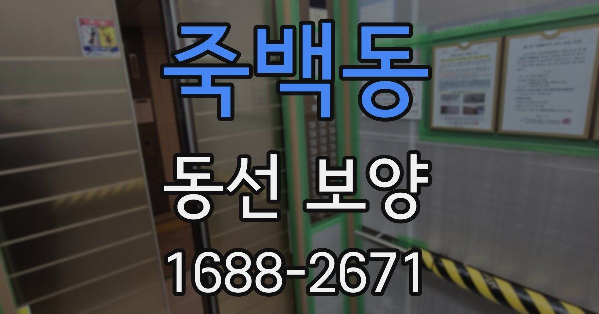 죽백동 동선 보양
