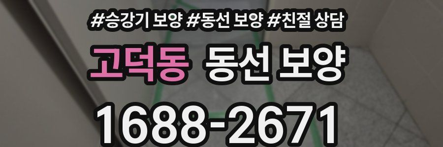 고덕동 동선 보양