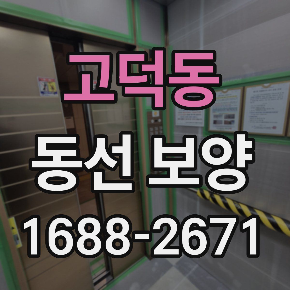 고덕동 동선 보양