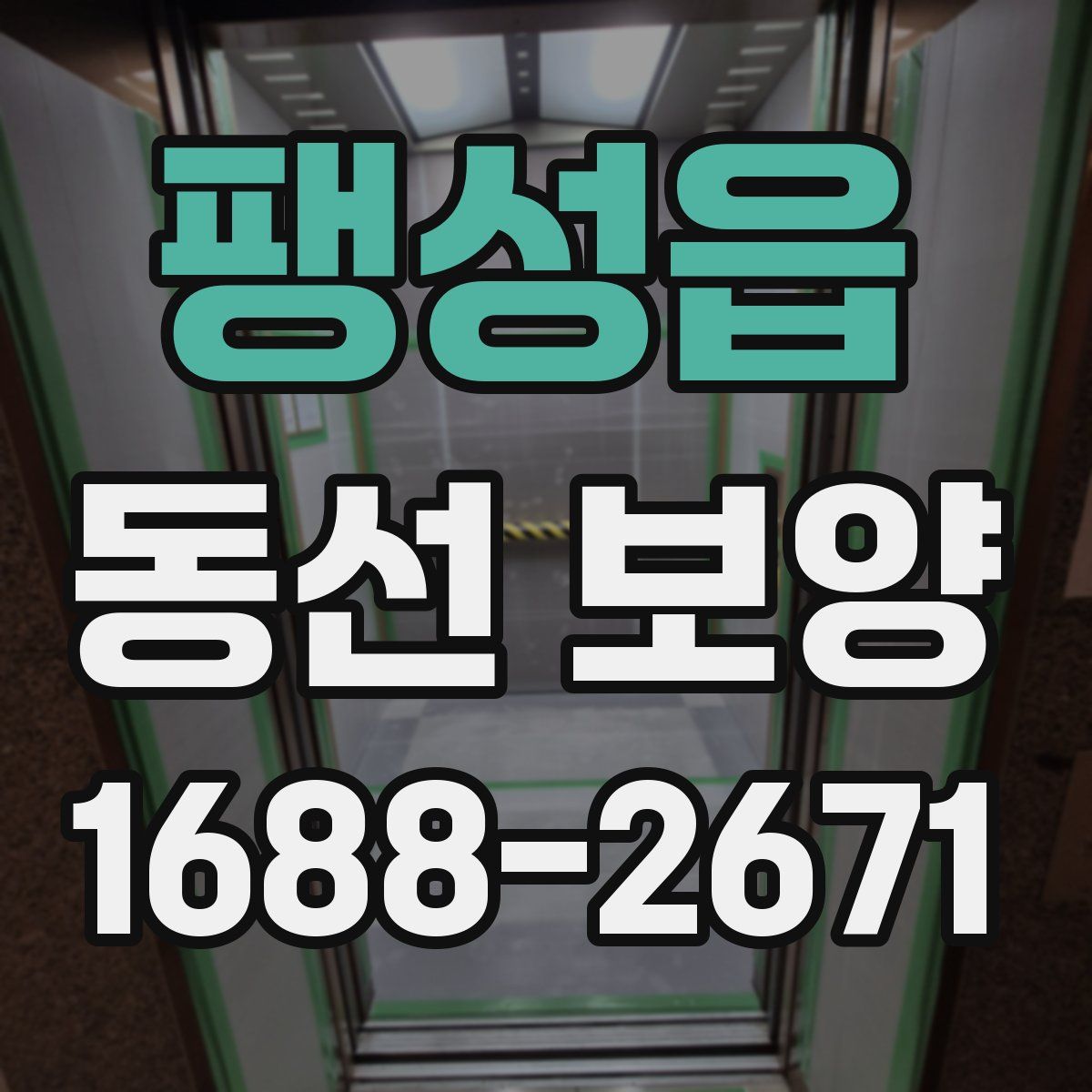 팽성읍 동선 보양