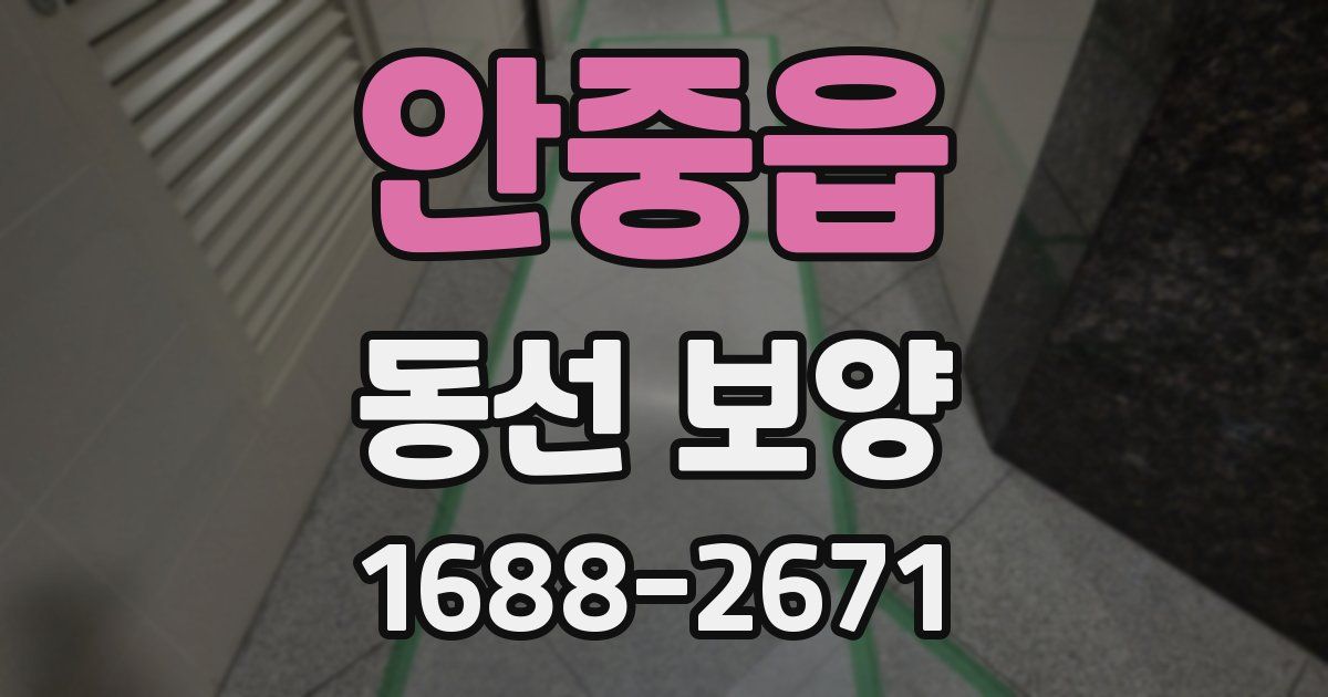 안중읍 동선 보양